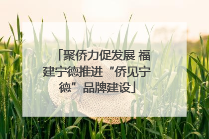 聚侨力促发展 福建宁德推进“侨见宁德”品牌建设