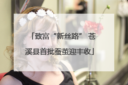 致富“新丝路” 苍溪县首批蚕茧迎丰收