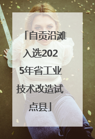 自贡沿滩入选2025年省工业技术改造试点县