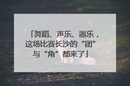 舞蹈、声乐、器乐，这场比赛长沙的“团”与“角”都来了