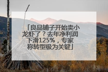 良品铺子开始卖小龙虾了？去年净利润下滑125%，专家称转型极为关键