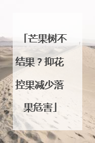 芒果树不结果？抑花控果减少落果危害