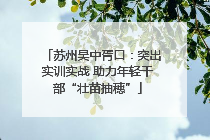 苏州吴中胥口：突出实训实战 助力年轻干部“壮苗抽穗”