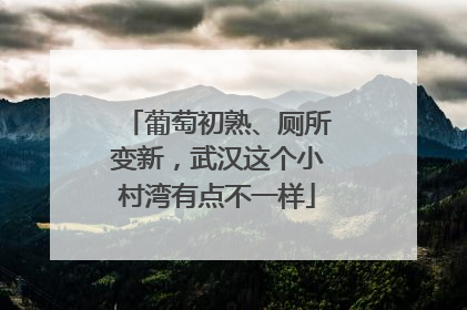 葡萄初熟、厕所变新，武汉这个小村湾有点不一样