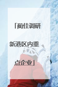 蔺佳调研新港区内重点企业