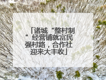 诸城“整村制”经营铺就富民强村路，合作社迎来大丰收