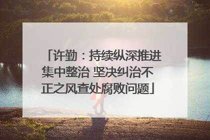 许勤：持续纵深推进集中整治 坚决纠治不正之风查处腐败问题