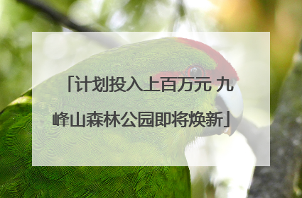 计划投入上百万元 九峰山森林公园即将焕新