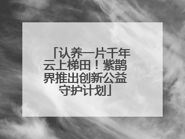 认养一片千年云上梯田！紫鹊界推出创新公益守护计划