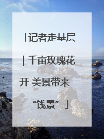 记者走基层｜千亩玫瑰花开 美景带来“钱景”