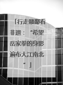 行走赣鄱看非遗：“希望岳家拳的身影遍布大江南北”