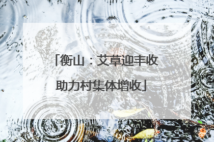衡山：艾草迎丰收 助力村集体增收