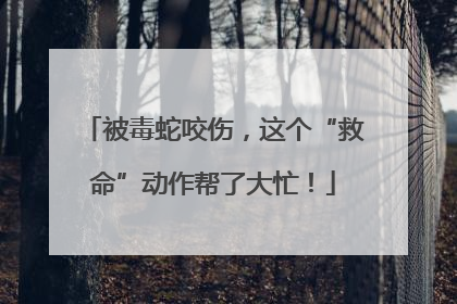 被毒蛇咬伤，这个“救命”动作帮了大忙！