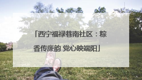西宁福禄巷南社区：粽香传廉韵 党心映端阳