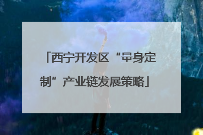 西宁开发区“量身定制”产业链发展策略