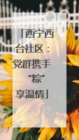 西宁西台社区：党群携手 “粽”享温情