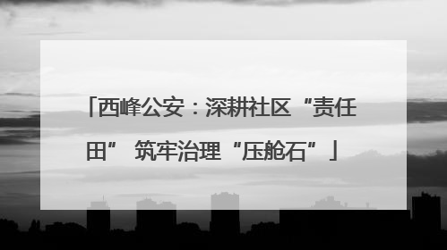 西峰公安：深耕社区“责任田” 筑牢治理“压舱石”