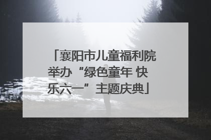 襄阳市儿童福利院举办“绿色童年 快乐六一”主题庆典