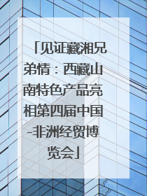 见证藏湘兄弟情：西藏山南特色产品亮相第四届中国-非洲经贸博览会