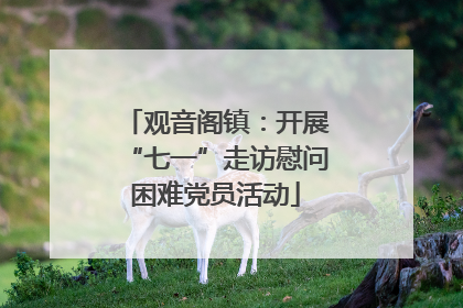 观音阁镇：开展“七一”走访慰问困难党员活动