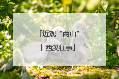 近观“两山”丨西溪往事