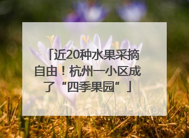 近20种水果采摘自由！杭州一小区成了“四季果园”