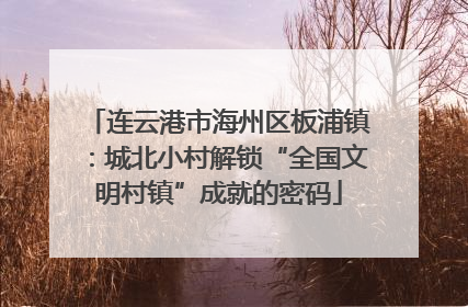 连云港市海州区板浦镇：城北小村解锁“全国文明村镇”成就的密码