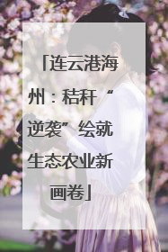 连云港海州：秸秆“逆袭”绘就生态农业新画卷