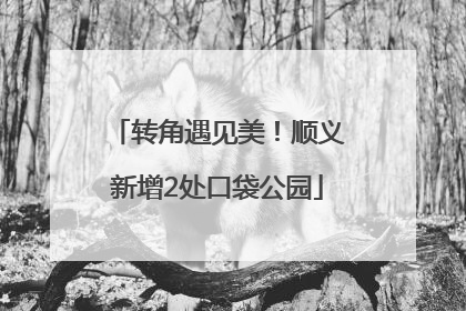 转角遇见美！顺义新增2处口袋公园
