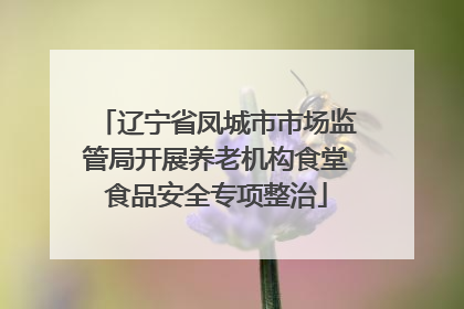 辽宁省凤城市市场监管局开展养老机构食堂食品安全专项整治