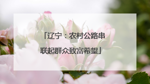 辽宁：农村公路串联起群众致富希望