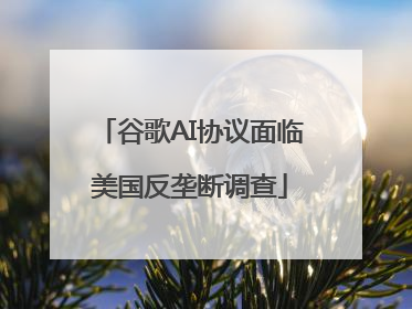 谷歌AI协议面临美国反垄断调查