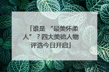 谁是 “最美怀柔人”？四大美德人物评选今日开启