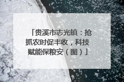 贵溪市志光镇：抢抓农时促丰收，科技赋能保粮安（图）