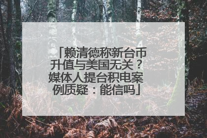 赖清德称新台币升值与美国无关？媒体人提台积电案例质疑：能信吗