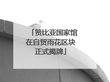 赞比亚国家馆在自贸雨花区块正式揭牌