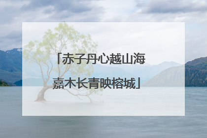 赤子丹心越山海 嘉木长青映榕城