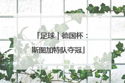 足球｜德国杯：斯图加特队夺冠
