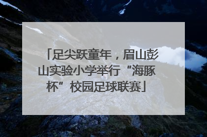 足尖跃童年，眉山彭山实验小学举行“海豚杯”校园足球联赛