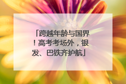跨越年龄与国界！高考考场外，银发、巴铁齐护航