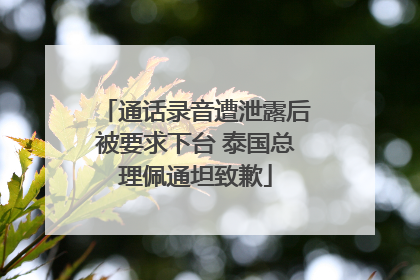 通话录音遭泄露后被要求下台 泰国总理佩通坦致歉