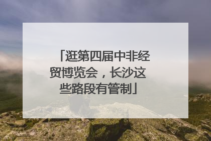 逛第四届中非经贸博览会，长沙这些路段有管制