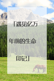 遇见亿万年前的生命印记