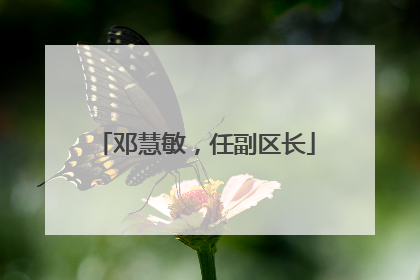 邓慧敏，任副区长