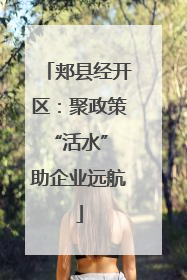 郏县经开区：聚政策“活水” 助企业远航