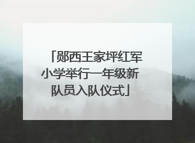 郧西王家坪红军小学举行一年级新队员入队仪式