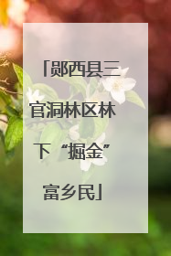 郧西县三官洞林区林下“掘金”富乡民