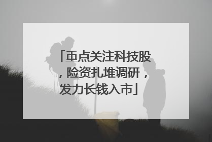 重点关注科技股，险资扎堆调研，发力长钱入市