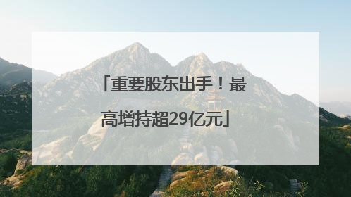 重要股东出手！最高增持超29亿元