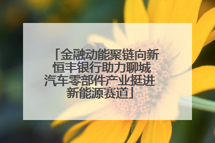 金融动能聚链向新 恒丰银行助力聊城汽车零部件产业挺进新能源赛道